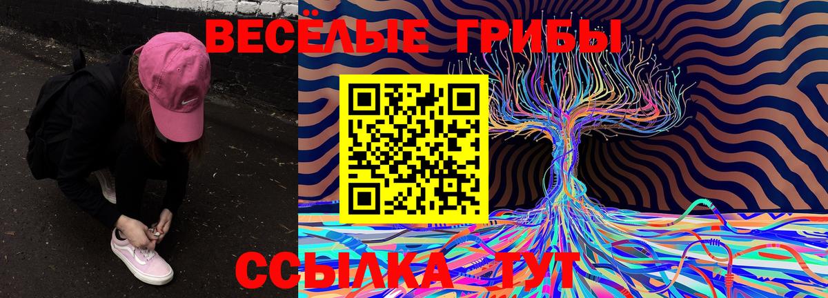 Егорьевск  Галлюциногенные грибы ЛСД  Вход с VPN  Псилоцибиновые грибы Psilocybe 